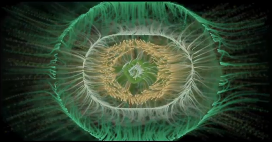 Velocity Bounce, 2nd Draft