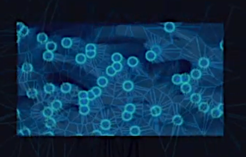 My First Foray into Live Applications Genetic Algorithms